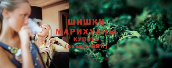 бошки Медногорск