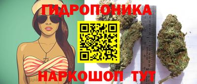 прущие грибы Абинск