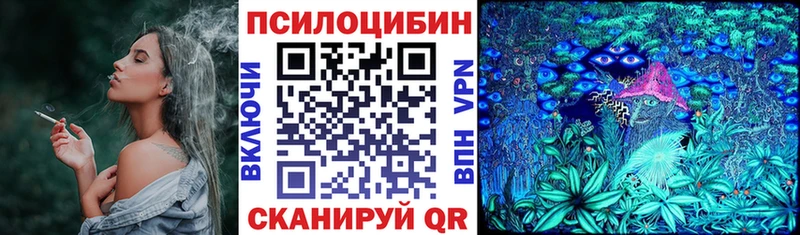 Псилоцибиновые грибы Psilocybe  даркнет сайт  Тейково 