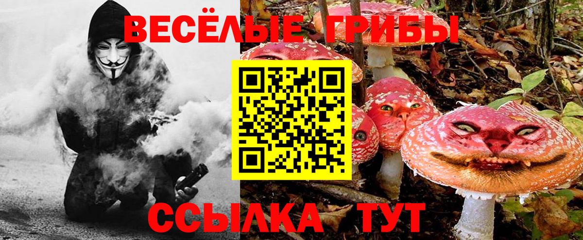 Галлюциногенные грибы мицелий  Тейково 