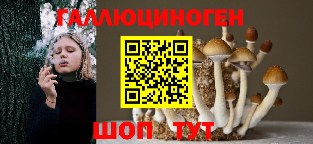 Псилоцибиновые грибы MAGIC MUSHROOMS  Вход с VPN  Тейково 